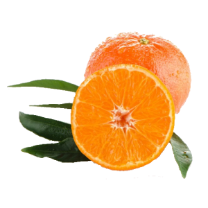 clementinas transparente